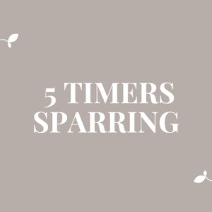 5 timers sparringsforløb