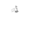 Moneyphant
